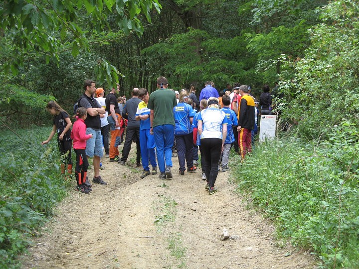 img00018.jpg